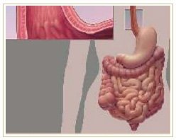 Slider image (3) Adiva | Super Speciality Care